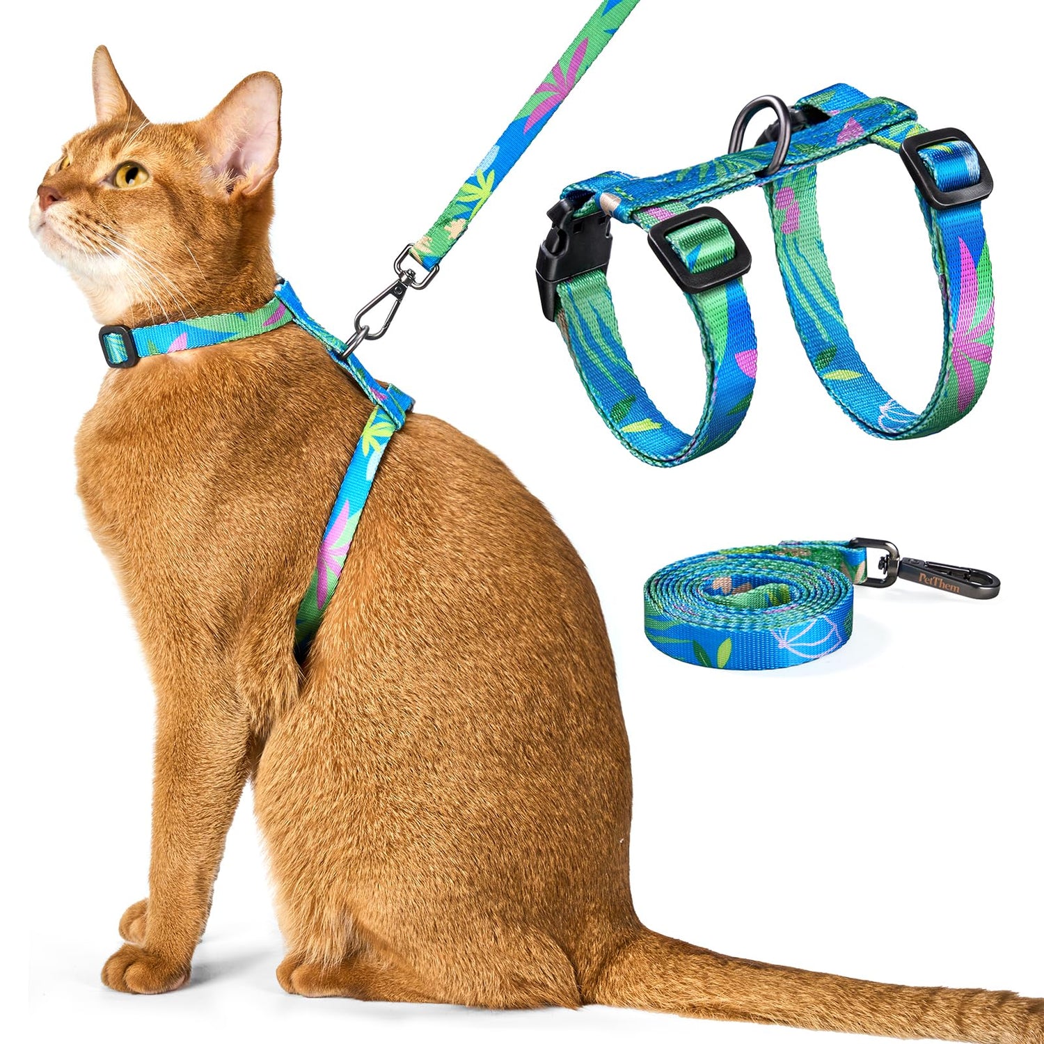 Cat Collar/Leashes