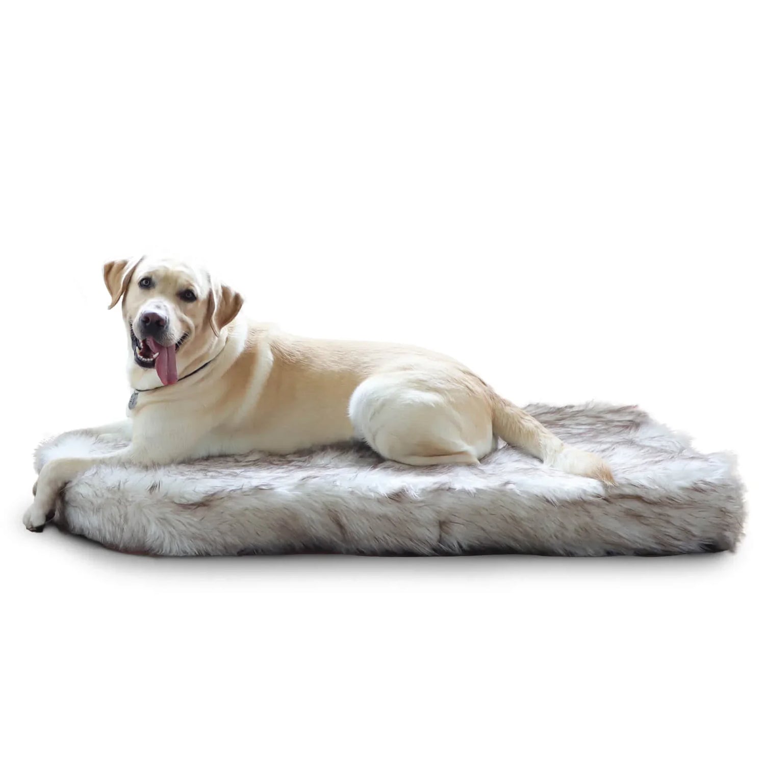 Dog Beds