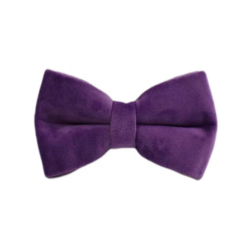 Purple Velvet Dog Collar And Leash Set For Small Medium Large Dogs Custom Engraved Nameplate Pet Supplies Dog Leash Velvet 16